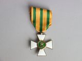 an image of a medal with a green and yellow ribbon around it