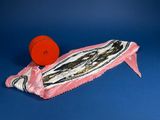 a red frisbee sitting on top of a pink bag