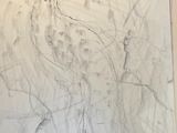 a drawing of a bird on a piece of paper