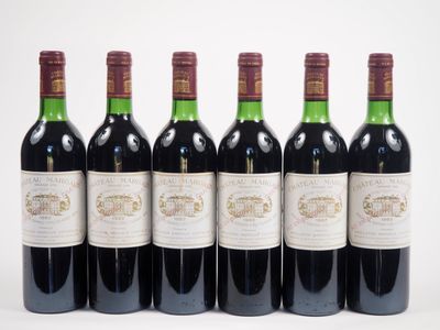 six bouteilles de vin rouge alignées sur une surface blanche