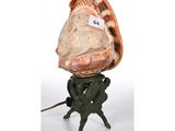 une statue représentant un homme tenant un coquillage sur la tête