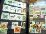 de nombreux timbres différents exposés dans une vitrine