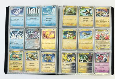 Il y a beaucoup de cartes Pokémon dans cette boîte.
