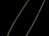 a gold necklace on a black background