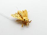 un insecte doré posé sur une surface blanche