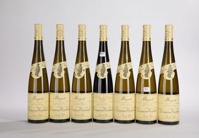 six bottles of wine are lined up in a row