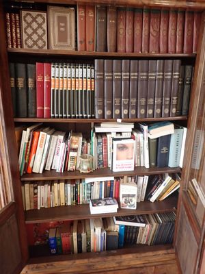 beaucoup de livres sur les étagères de la pièce