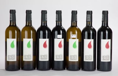 six bouteilles de vin sont alignées sur une surface blanche