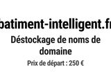 Photo 1/1 du lot