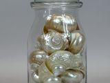 a glass jar filled with shells on a white surface