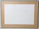 a picture of a picture of a cat on a white board