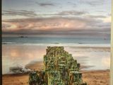 une photo d'une photo d'une souche d'arbre sur la plage