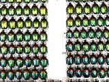 two rows of green and red beetles in a display case