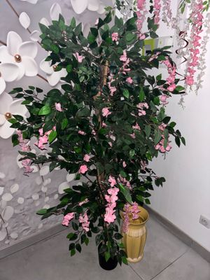 a potted plant with pink flowers in front of a wall