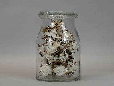 a glass jar with a bunch of flowers inside of it