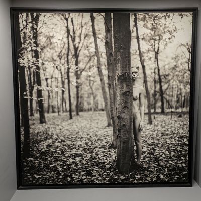 une photo en noir et blanc d'une femme nue adossée à un arbre