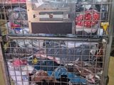 un panier rempli de chaussures