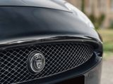 a close up of a car ' s grille with a jaguar logo on it