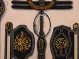 a lot of different types of belts on the wall