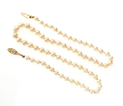 gros plan d'un collier de perles sur fond blanc