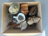 a box full of shells and a cup of coffee
