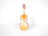 a close up of a violin on a white background