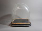 une cloche en verre posée sur un socle en bois, sur une surface blanche