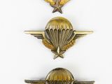 three military badges on a white surface with a white background