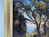 Photo 6/6 du lot