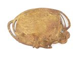 a gold plate that is sitting on a white surface