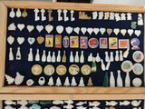 a picture of a display case with a lot of different items