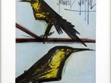 deux oiseaux perchés ensemble sur une branche