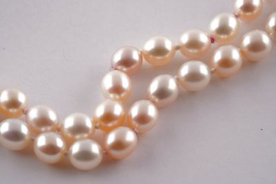 deux rangées de perles blanches sont disposées sur un fond blanc