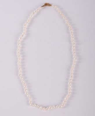 a white pearl necklace with a gold clasp on a white background