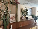 a plant on the counter in the lobby of a hotel