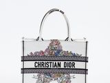 Le sac Christian Dior est fabriqué à partir d'un étui en plastique transparent orné d'un imprimé floral.