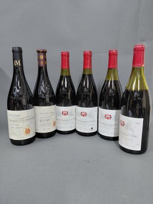 six bouteilles de vin sont alignées sur une table