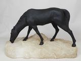 un cheval noir qui se tient debout sur un rocher