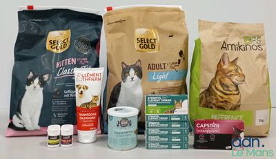 un chat assis à côté d'un sac de croquettes et d'un sachet d'herbe à chat