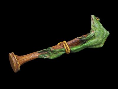 un gros plan d'un bâton en bois sur lequel est perchée une grenouille