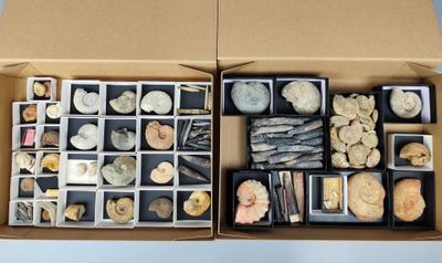 une boîte remplie de cailloux et d'autres objets
