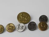 Plusieurs types de pièces de monnaie sont disposés en rangée sur une surface blanche