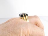 a person holding a gold and black ring in their hand