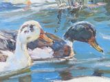 two ducks swimming in the water near each other