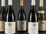 several bottles of wine are lined up on a table