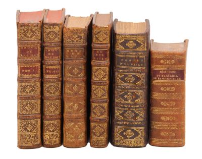 plusieurs vieux livres sont alignés sur une surface blanche
