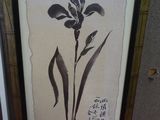une photo d'une photo d'une fleur dans un cadre