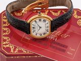 an image of a carton watch on a red box with a gold clasp