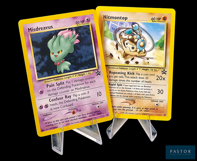 deux cartes Pokémon présentant des illustrations différentes