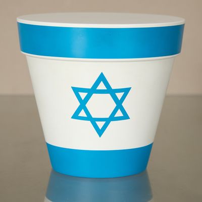 un pot de fleurs bleu et blanc orné d'une étoile de David